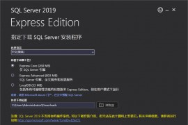 SQL Server 2019 Express安装包